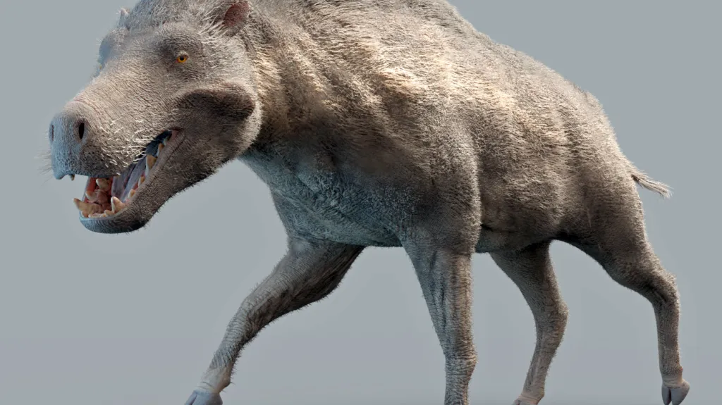 Entelodont