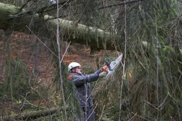 Rumburk a Varnsdorf zakázaly lidem chodit do lesů. Po vichřici Herwart přetrvává nebezpečí