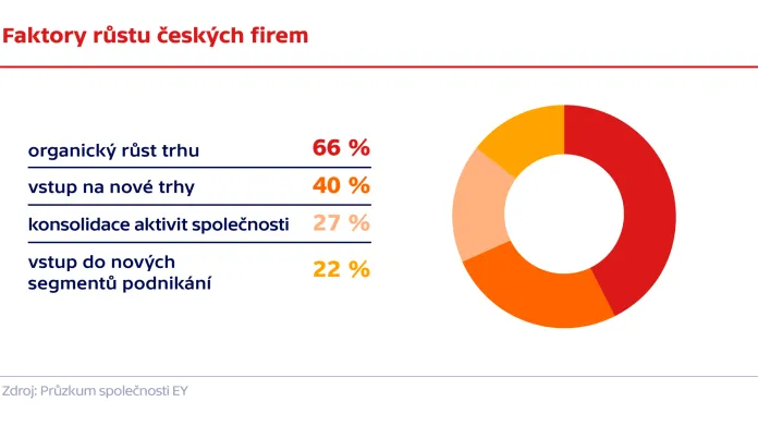 Faktory růstu českých firem