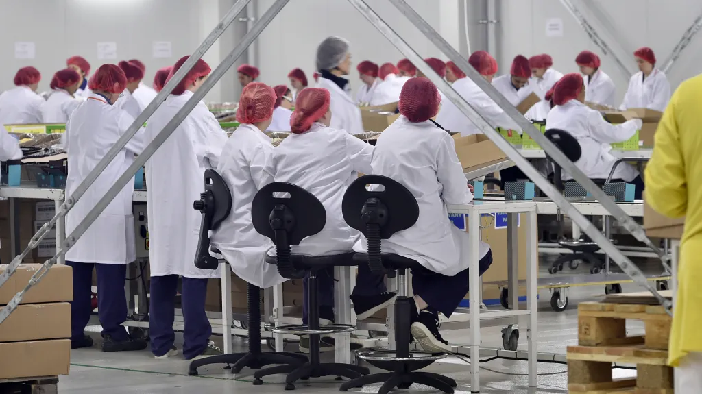 Výrobní hala Levimo u světelské věznice