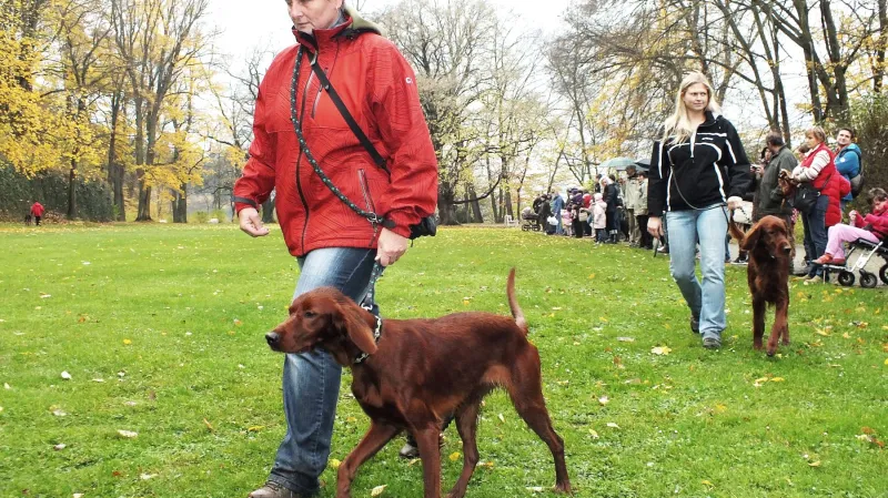 Svatohubertské slavnosti s Boskovicích