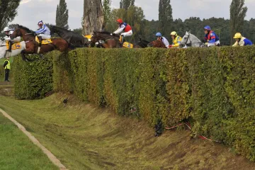 Velká pardubická steeplechase - poprvé startovalo 14 koní