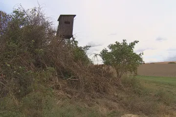 Na poli zůstaly stovky poničených stromů a keřů. Policie hledá viníka