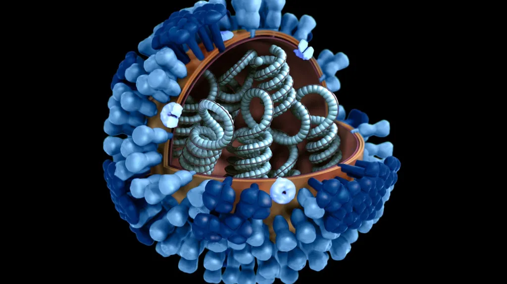 Vizualizace viru chřipky