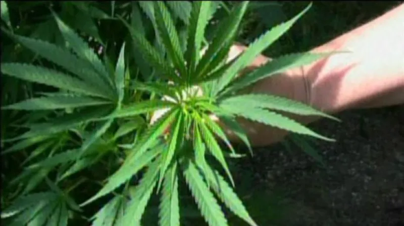 Rozhovor s Jindřichem Vobořilem