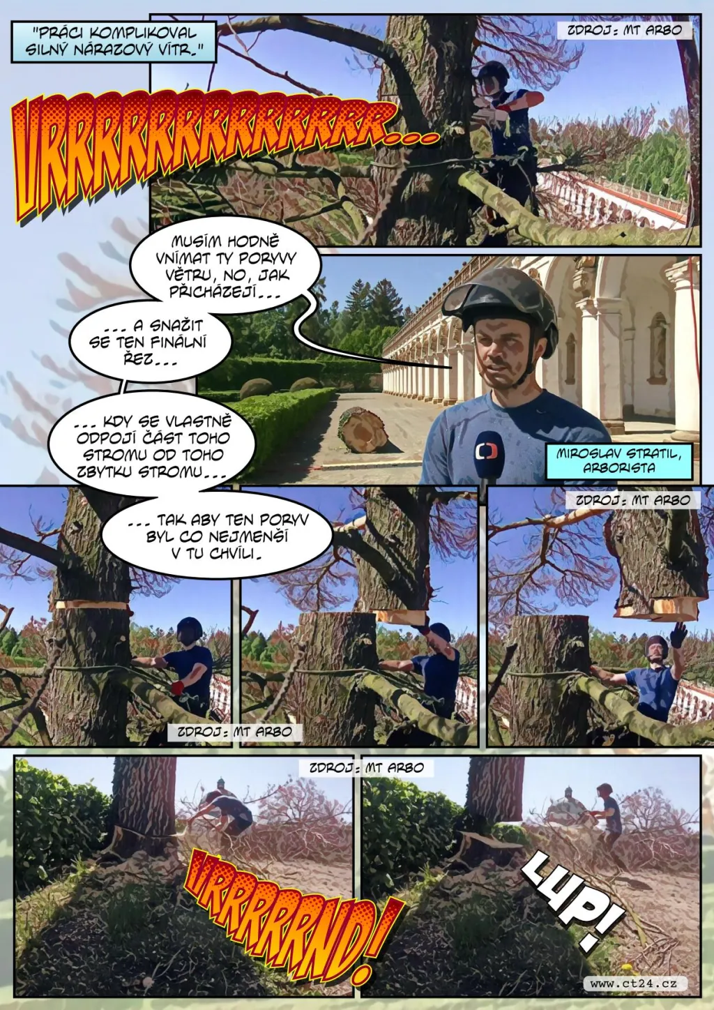 Pokáceli staletý strom v Kroměříži