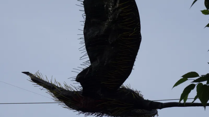 Štěpán Beránek / Armageddon