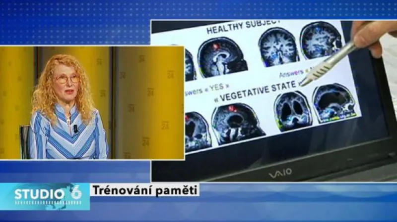 Rozhovor s Danou Steinovou