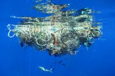 Tichomořská odpadková skvrna se stala novým ekosystémem. Kolonizují ji zvířata i rostliny