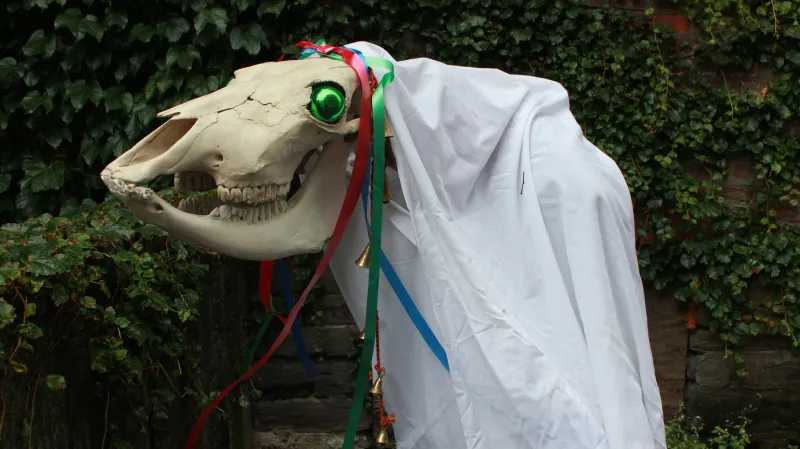 Mari Lwyd