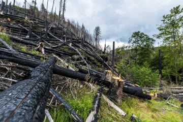 Soud zrušil osvobození dobrovolného strážce v kauze zapálení Českého Švýcarska