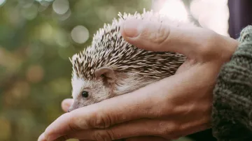 Ilustrační snímek