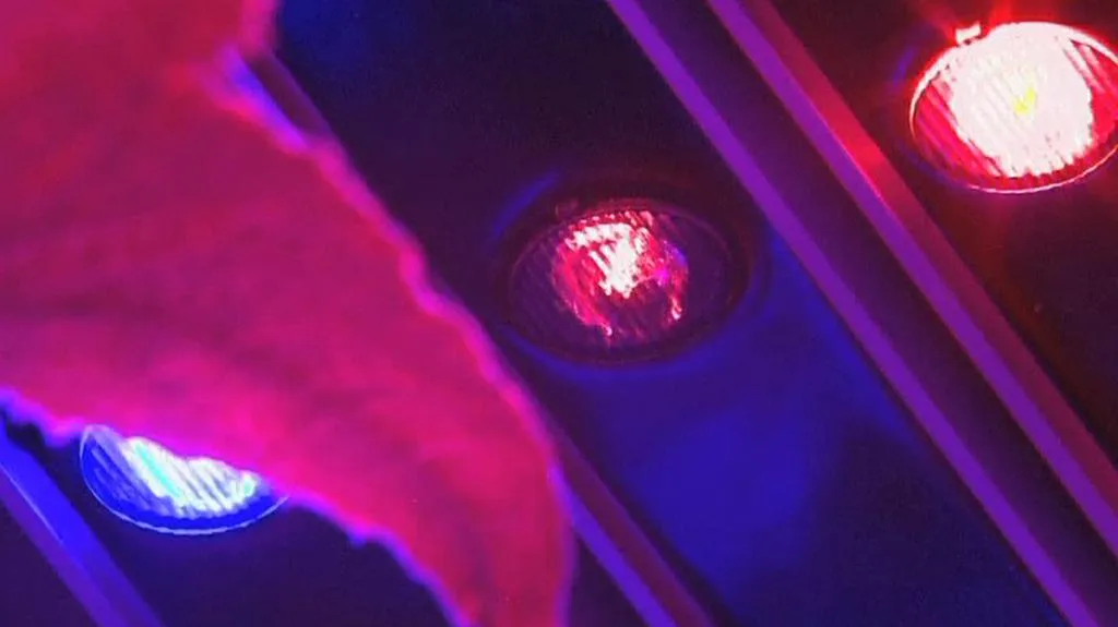 LED diody ve speciálních pěstírnách