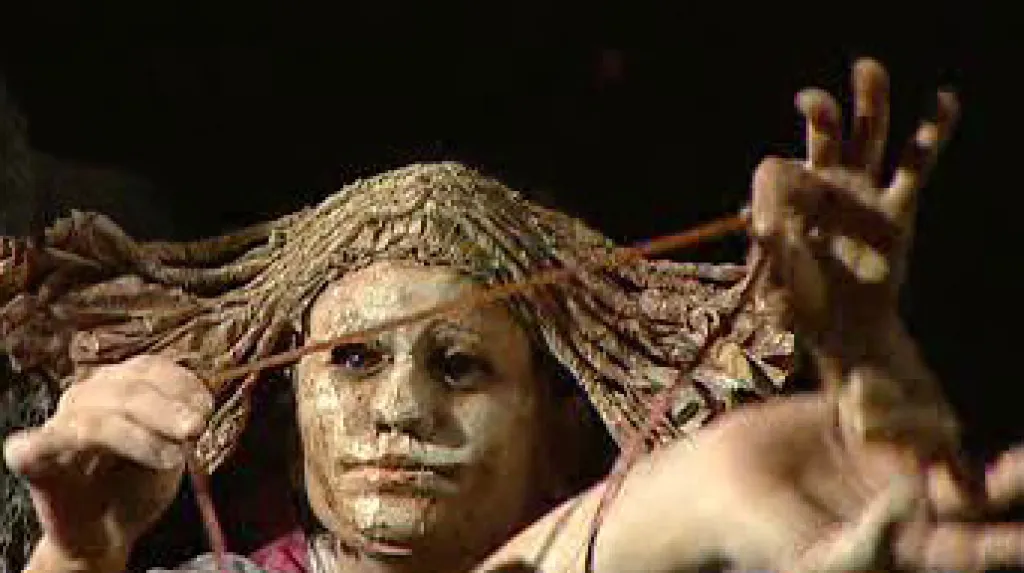 Vystoupení souboru Continuo