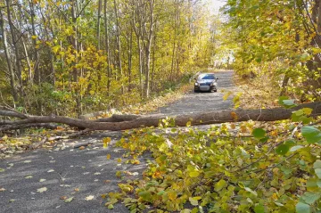 Hasiči kvůli větru vyjížděli k desítkám případů