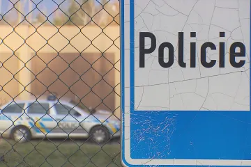 V okolí Prahy řádí gang zlodějů. Policii zatím uniká, místní si najímají agentury