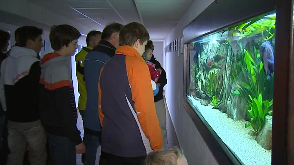 Rybářské muzeum ve Vodňanech