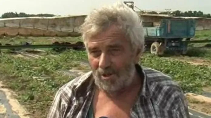 Zemědělec Jindřich Prekop o letošní úrodě okurek
