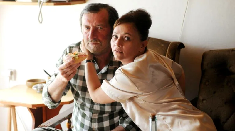 Domácí péče (2015, režie: Slávek Horák)