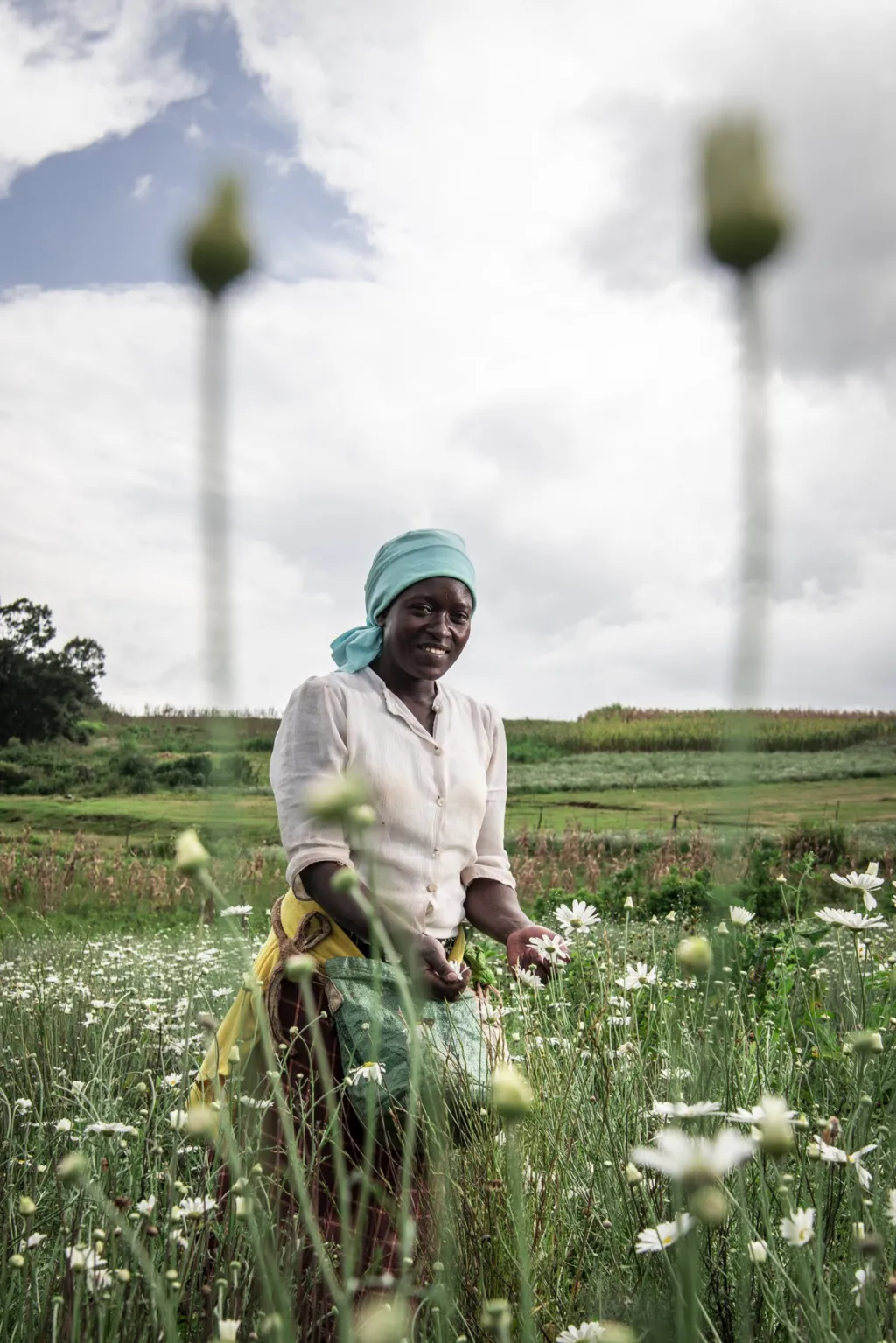 Nominace v kategorii Dokument: Vito Fusco se sérií snímků nazvanou Smrtící Daisy