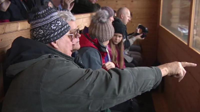 Pozorování jelenů na Šumavě