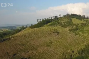 Spolu se stromy zničil kůrovec také stovky turistických značek. Revírnici hledají náhradu