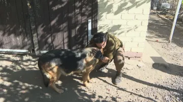 Dobrovolníci evakuují zvířata z Dněpropetrovské oblasti