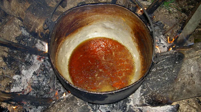Ayahuasca
