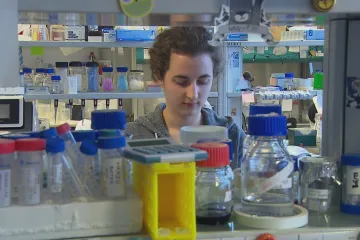 Čeští středoškoláci dostali ceny za elektromagnetické dělo i výzkum mutace proteinů