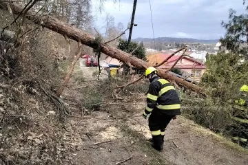 V Česku řádil silný vítr. Strhával střechy a kosil stromy, hasiči hlásí stovky výjezdů