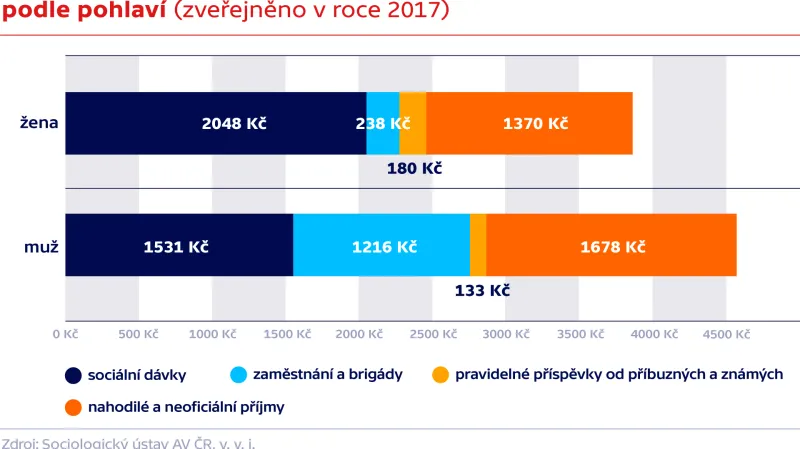 Odhadovaná struktura průměrných měsíčních příjmů bezdomovců podle pohlaví