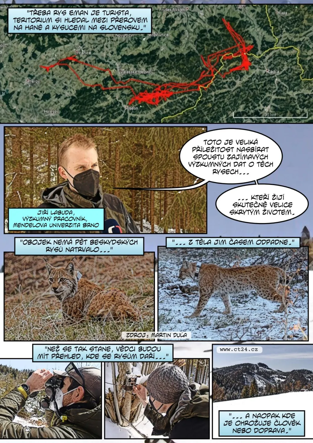 Rys ostrovid v Beskydech