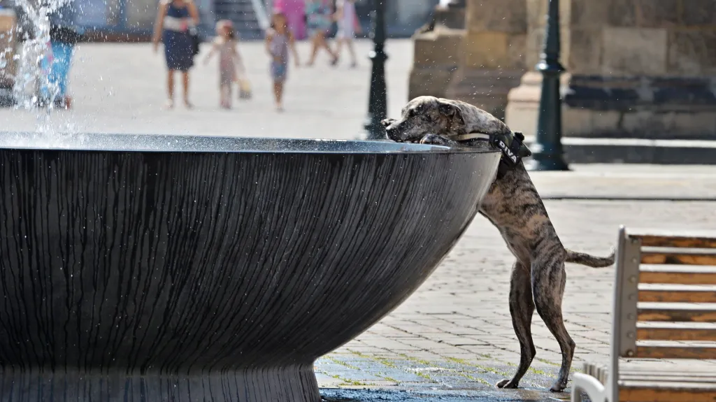 Prázdniny se loučí tropickými teplotami