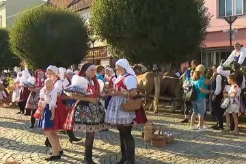 Stavěním máje odstartoval Slovácký rok v Kyjově