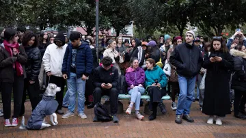 Turecká demonstrace