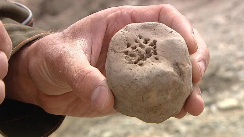 K čemu tento předmět sloužil, archeologové netuší