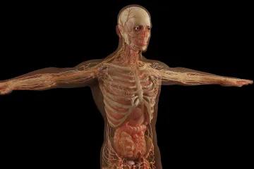 Ještě za života darují tělo vědě. Lékařské fakulty mají s lidmi přes 15 tisíc smluv