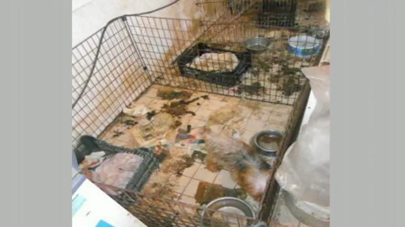 Chovna psů v Chvalešovicích