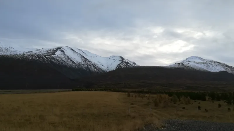 Island znovu zalesňuje