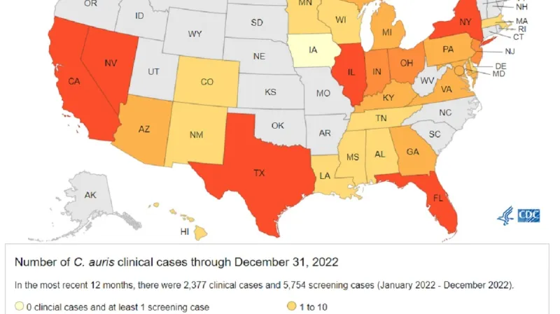 Rozšíření Candida auris v USA