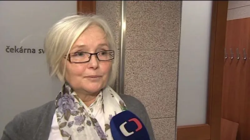 Svědci z autobusu popisují nehodu