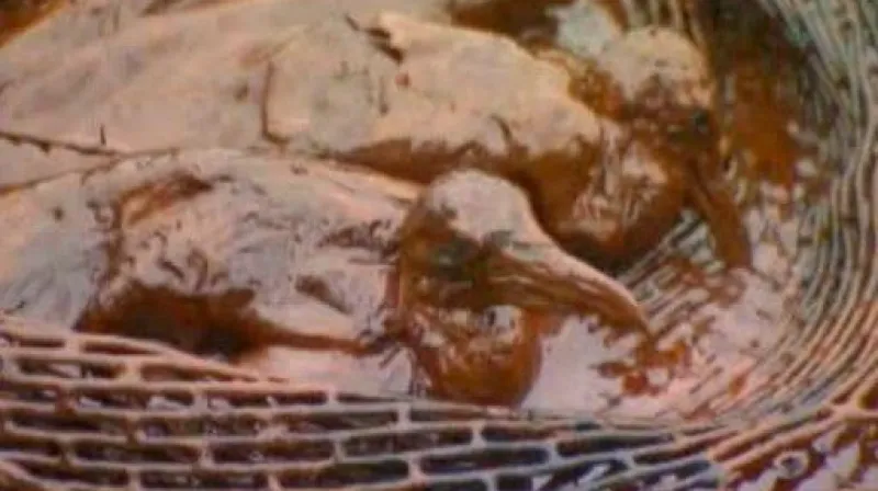 Reportáž Michala Kubala