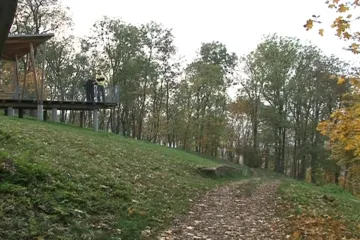 Wilsonův les se stal ptačím rájem