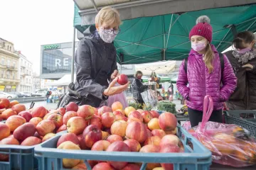 Covid – nájemné bude i pro nábytkáře, sázkové kanceláře nebo trhovce, schválila vláda