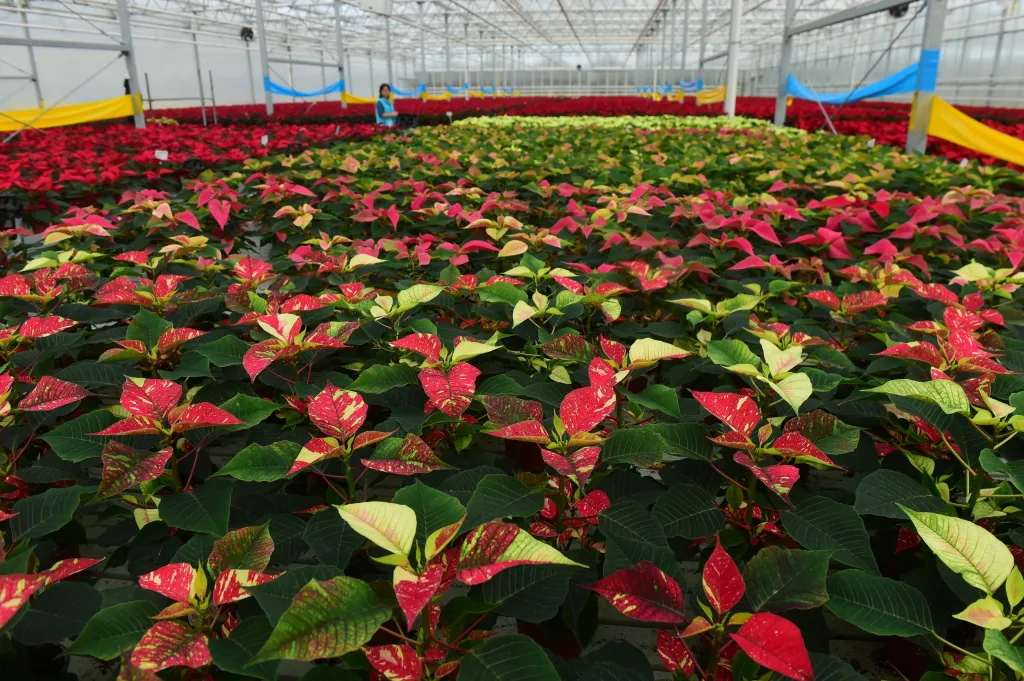 Zaplatilo se z něj také vybavení hematoonkologického oddělení potřebami pro rodiče a zdravotnický personál, peníze pomohly také na zakoupení nadstandardního vybavení a potřeb pro děti, maminky a oddělení, ale pomohly i rodinám s onkologickým pacientem v těžké finanční situaci