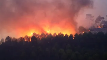 Lesní požár zasáhl severozápadní tureckou provincii Canakkale