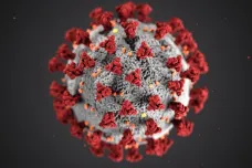Anglická varianta koronaviru je více smrtící, naznačují první studie