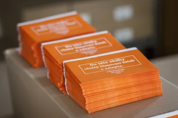 Průkopníkem stranického referenda byly VV. Ale hlasování jako v ČSSD Česko nepamatuje