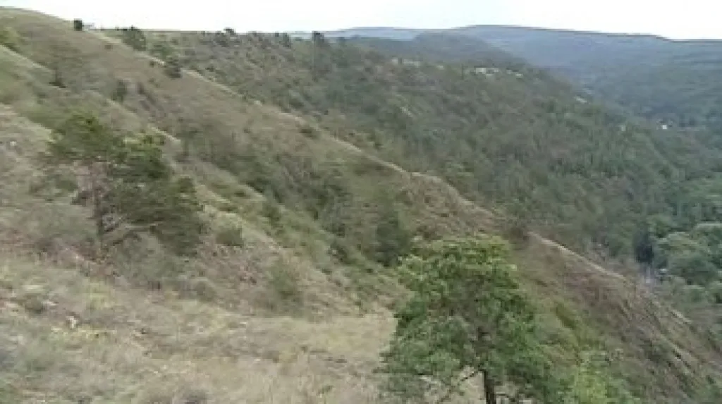Mohelenská hadcová step