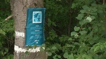 Do lesa je zakázaný vstup